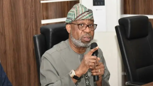 FEDERAL GOVERNMENT DEFENDS MINING LICENCE REVOCATION, DENIES FAVOURING CHINESE INVESTORS
